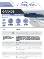 Cloud Nine Premium - Grande Turn - Image 2