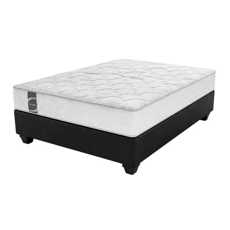 transparent-Photoroom-2026-04-29T075851.389 (1) Vitasleep Plush -Vitasleep - Image 1